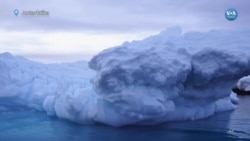 Uzmanlar uyarıyor: "Antarktika’da buzul erimesi ciddiye alınmalı" 