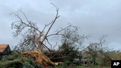 Andy Villagomez clears what remains of a large tree that overshadowed his front yard before falling to Typhoon Mawar, May 25, 2023, in Mongmong-Toto-Maite, Guam.