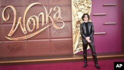 FILE - Timothee Chalamet arrives at the premiere of "Wonka" at the Regency Village Theatre in Westwood, California, Dec. 10, 2023. (Photo by Richard Shotwell/Invision/AP)