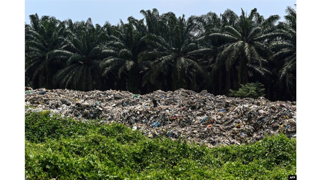 Sampah plastik di dekat pohon kelapa sawit di sebuah pabrik terbengkalai di Jenjarom, sebuah distrik Kuala Langat, di luar Kuala Lumpur, 8 Maret 2019. (Mohd RASFAN / AFP)