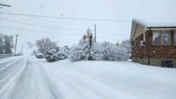 Helena: La primera tormenta invernal de la temporada arrojó 30 centímetros de nieve en la capital de Montana