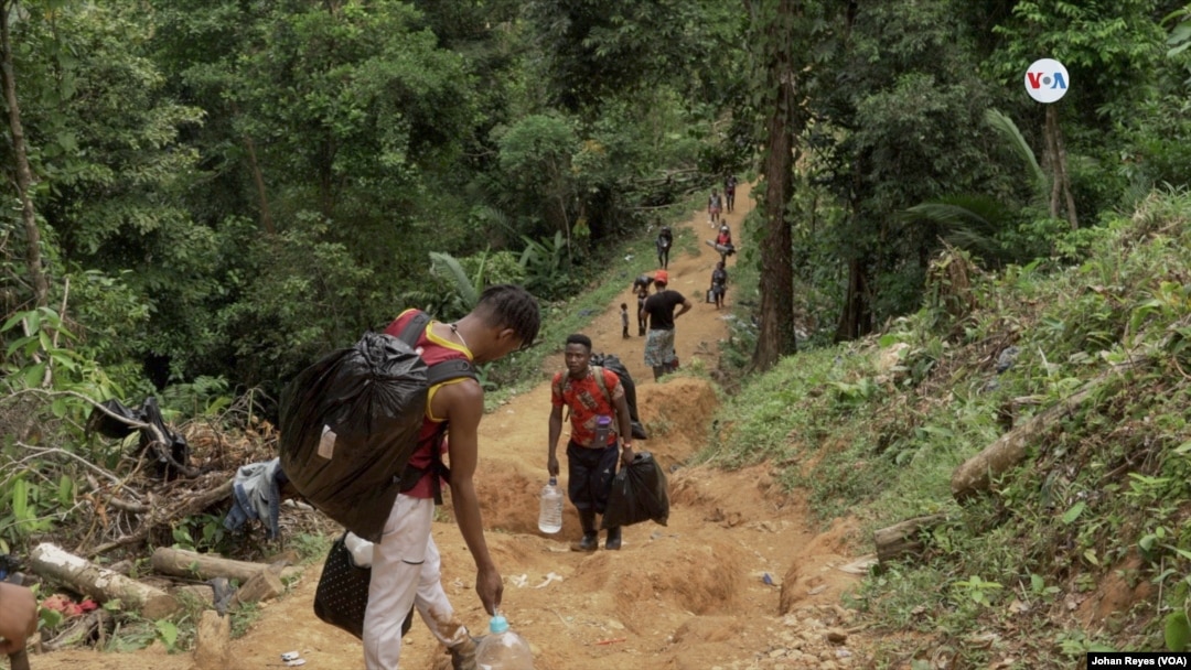 Un grupo de migrantes en la puerta de entrada a la inhóspita jungla del Darién, en Colombia. FOTO: Johan Reyes, VOA.