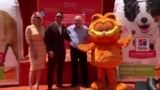VOA Entertainment Update: Kucing Oranye Garfield Masuk Hollywood, Single Terbaru Musisi Indonesia Jimmy Lim