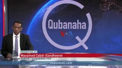 Saameyntii QM ee caalamka oo sii yaraaneysa