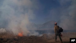 A firefighter walks towards flames from the Post Fire in Lebec, California, June 16, 2024.