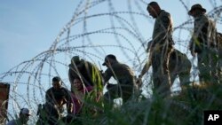 Migrants navigate around concertina wire along the banks of the Rio Grande after crossing from Mexico into the U.S., Aug. 1, 2023, in Eagle Pass, Texas.