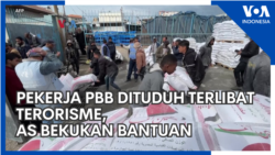 Pekerja PBB Dituduh Terlibat Terorisme, AS Bekukan Bantuan