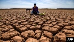 Dans le sud du Maroc, les températures ont atteint les 45 degrés.