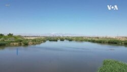 沙漠城市拉斯维加斯成为节水典范