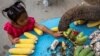 Seorang anak perempuan memberi makan seekor gajah saat perayaan Hari Gajah Nasional Thailand di kota kuno Ayutthaya. (Reuters)&nbsp;