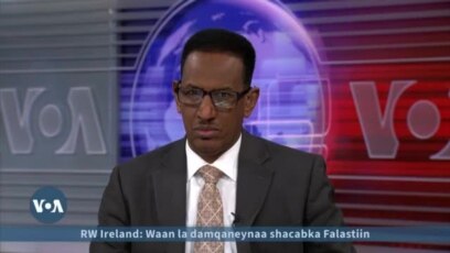 Xubinta sayniska iyo Teknoolajiyadda