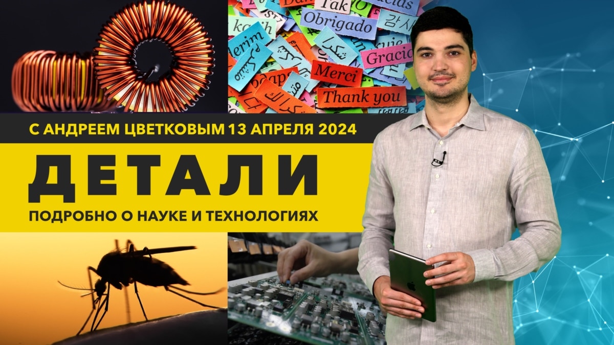 Самый привлекательный язык и зараженные комары | «Детали»