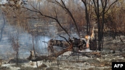 A file photo taken on Nov. 19, 2011 shows damage caused by a bushfire in a forest near Tsumkwe, some 600 kms northeast of Windhoek, Namibia. Tree burning and chopping has helped the desert expand, leaving Namibia even more exposed to the threats of global warming