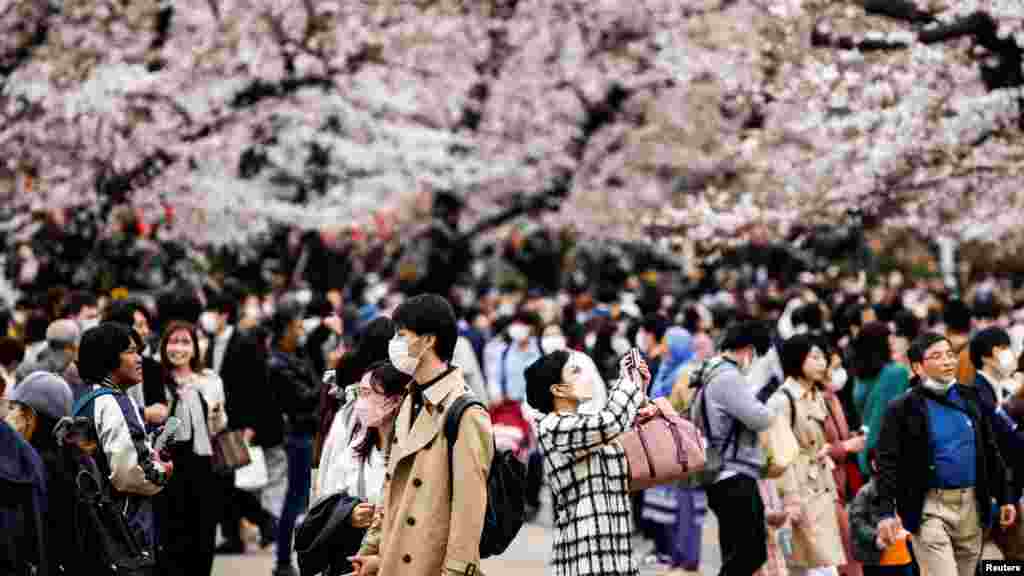 Bahor. Tokio, Yaponiya.