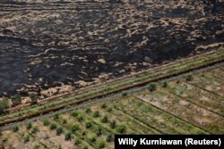 Lahan terbakar terlihat di samping perkebunan sawit dekat Banjarmasin, Kalimantan Selatan, 29 September 2019. (Foto: REUTERS/Willy Kurniawan)