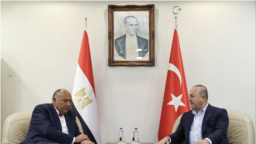 Çavuşoğlu ve Mısır Dışişleri Bakanı Semih Şükrü.