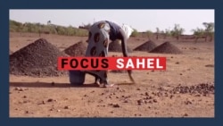 Focus Sahel, épisode 2: la résilience des femmes dans les zones en conflit