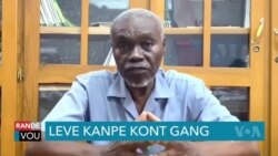 Ekonomis Ayisyen Camille Charlemers, Mande Pèp La Leve Kanpe