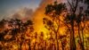Australia’s Northern Territory Faces Fire Threat 