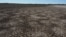 FILE - The lagoon of Santa Olalla at Donana National Park in southern Spain, Aug. 22, 2022. Handout via Reuters/Estacion Biologica de Donana (EBD-CSIC)