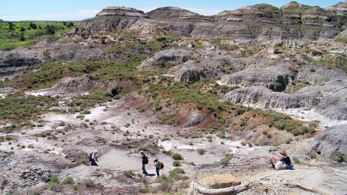 Rare fossil of adolescent Tyrannosaurus – ‘Teen Rex’