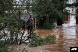 Seorang warga menunggu tim penyelamat di atas pohon, saat terjadi banjir di Eldorado do Sul, negara bagian Rio Grande do Sul, Brazil pada 3 Mei 2024. (Foto: AFP)