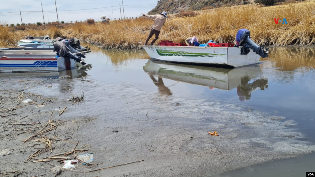 Un botero maniobrando para poder avanzar por un canal enfangado que hasta hace pocos meses estaba bien cubierto de agua.