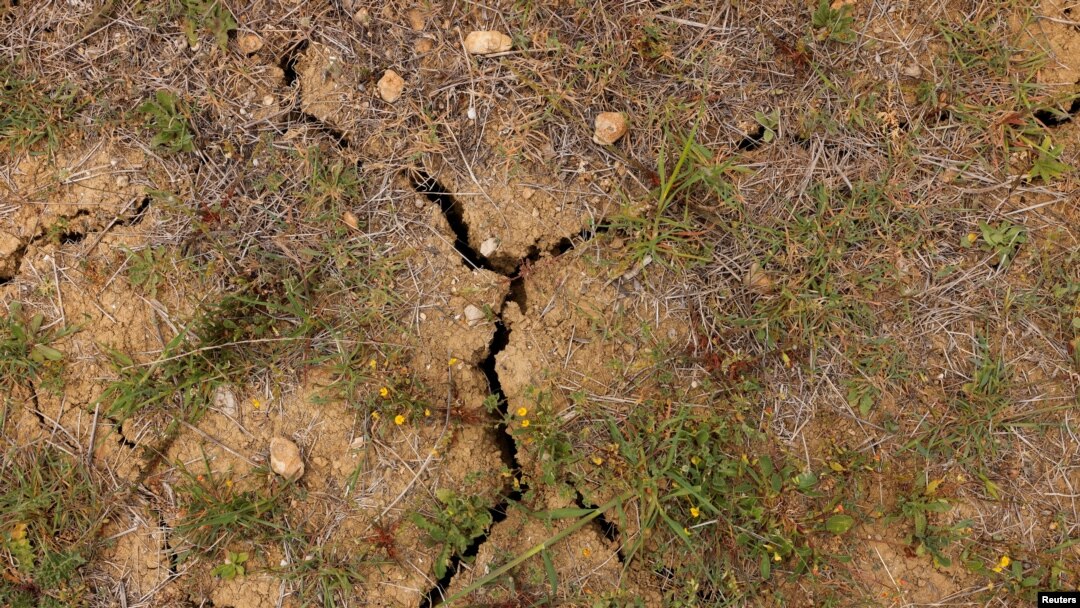 Polje trave je popucalo zbog suše tokom izuzetno visokih letnjih temperatura u Rondi, Španija, 27. april, 2023. (Foto: Reuters/Jon Nazca)