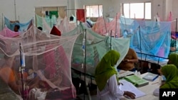 ঢাকার একটি সরকারি হাসপাতালে লোকেরা ডেঙ্গু জ্বরে আক্রান্ত রোগীরা। ১৯ অক্টোবর, ২০২২। (ফাইল ছবি) 