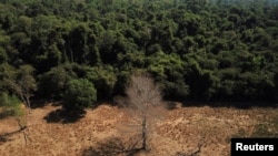 FILE - A view of land in Mato Grosso state, Brazil, July 28, 2021. Brazil's President Luiz Inacio Lula da Silva has made reining in deforestation a priority, seeking to reverse the policies of his predecessor, Jair Bolsonaro. 