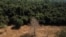 FILE - A view of land in Mato Grosso state, Brazil, July 28, 2021. Brazil's President Luiz Inacio Lula da Silva has made reining in deforestation a priority, seeking to reverse the policies of his predecessor, Jair Bolsonaro. 
