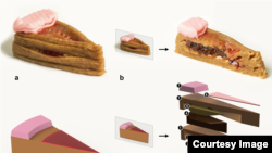 Photo: NPJ Science of Food