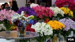 El sector floricultor colombiano exportó en 2022 más de 320.000 toneladas de flores con ingresos equivalentes a 2.052 millones de dólares.