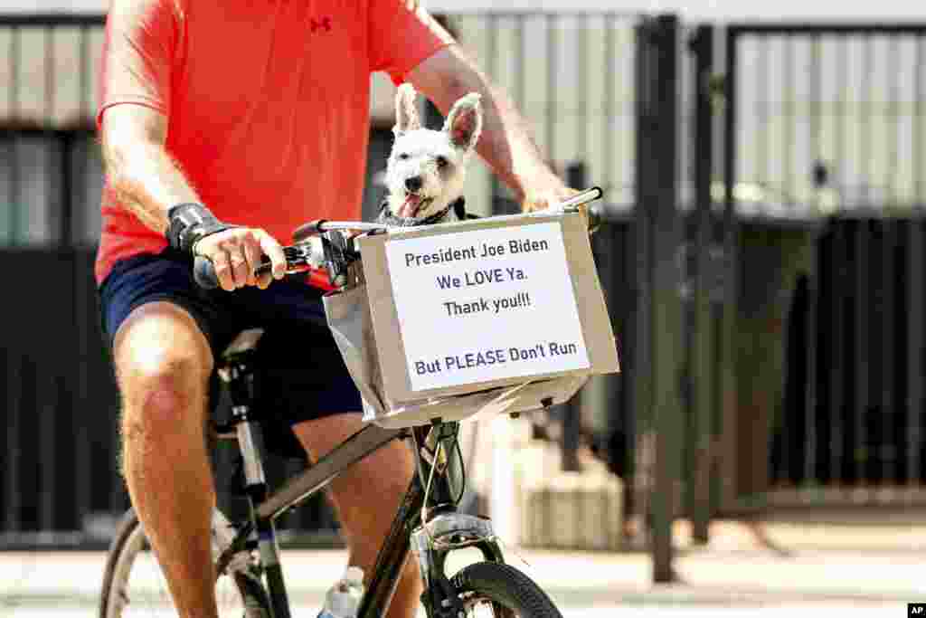 Jane takes a ride with owner Ed Rozynski as he pedals past the NATO summit at the Walter E. Washington Convention Center in Washington.