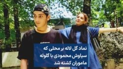 نماد گل لاله بر محلی که سیاوش محمودی با گلوله ماموران کشته شد