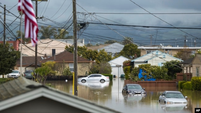 Autos parcialmente sumergidos en las aguas de la inundación en Watsonville, California, el sábado 11 de marzo de 2023. (Foto AP/Nic Coury)