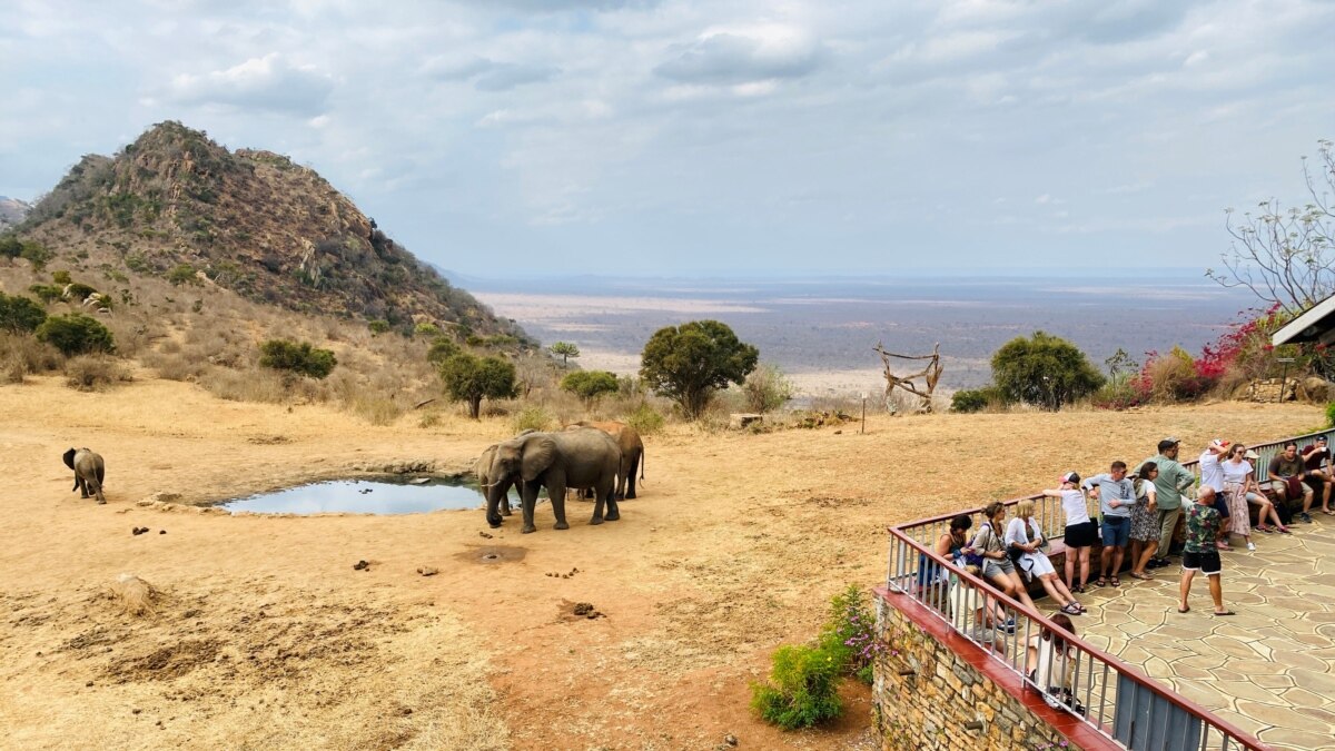 Kenya Tourism Officials Say Earnings Jumped 83 Last Year