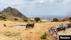 FILE - Elephants are seen as tourists visit Tsavo West National Park, amid the impact of the coronavirus disease (COVID-19) pandemic, in Tsavo region, Kenya, Sept. 21, 2021. 