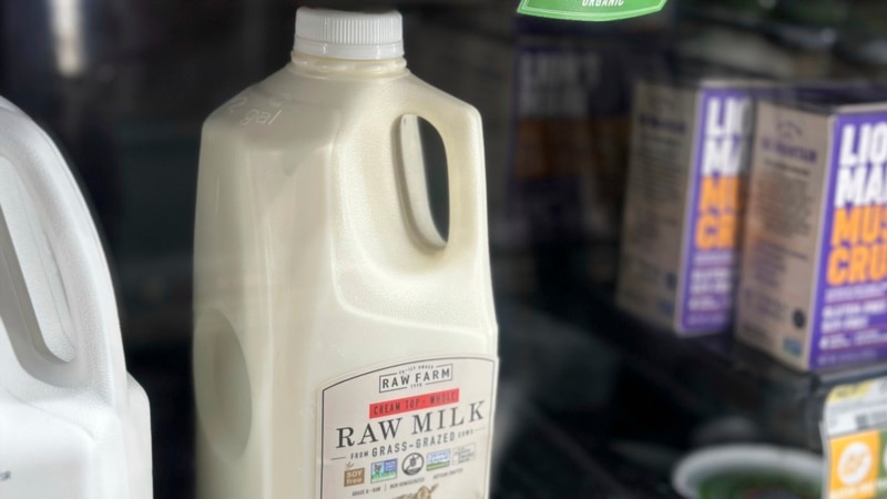 Raw milk drinkers undeterred by bird flu in US dairy cows...