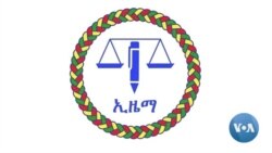 ኢዜማ የመንግሥት አካላትንና ታጣቂዎችን ከሠሠ