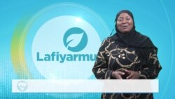 LAFIYARMU: Batun Wayar Da Kan Al’umma Game Da Cutar Dajin Mama
