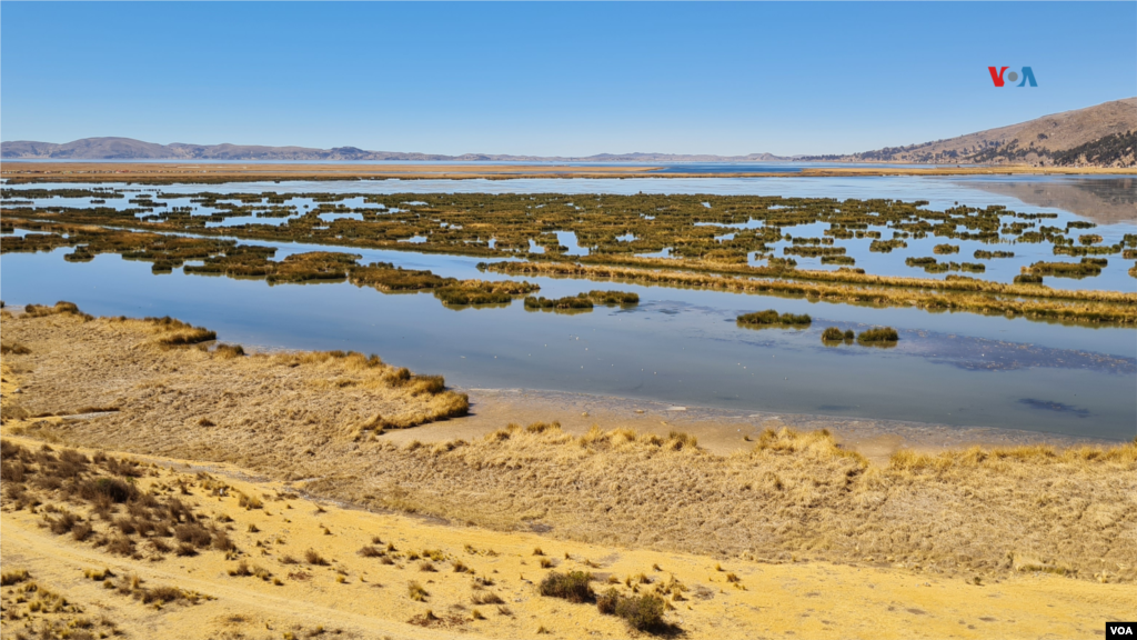 Toma del mes de junio. El nivel del Titicaca había bajado, pero aún los totorales (vegetación típica de la zona) estaban verdes.