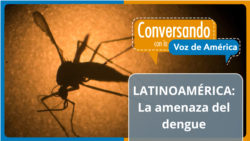 América Latina en alerta roja por el aumento récord de casos de dengue
