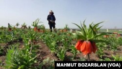 Sedat Kıran, çiftçilik yaparak kazandığı parayla dördüncü belgesel filmini çekti