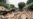 Dozens Killed After Destructive Floods in Cameroon