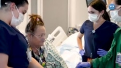 ABD’de bir hastaya domuz böbreği nakledildi, mekanik kalp pompası yerleştirildi 