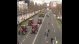 西班牙农民举行抗议 
