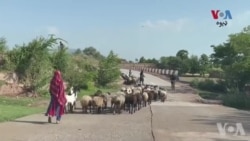 ترهګرۍ ځپلي پخوانیو قبايلي سيمو کې ډير ماشومان او ځوانان د تعليم نه بې برخې دي