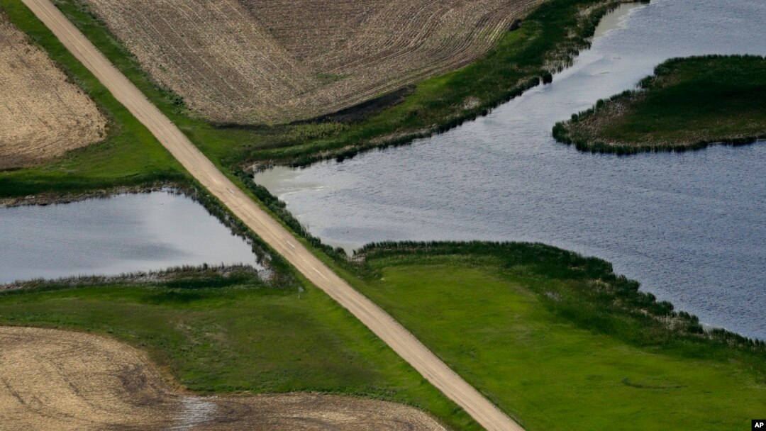 FILE - A road bisects a wetland on June 20, 2019, near Kulm, North Dakota. A Supreme Court decision on May 25, 2023, strips protections from wetlands that are isolated from larger bodies of water. 