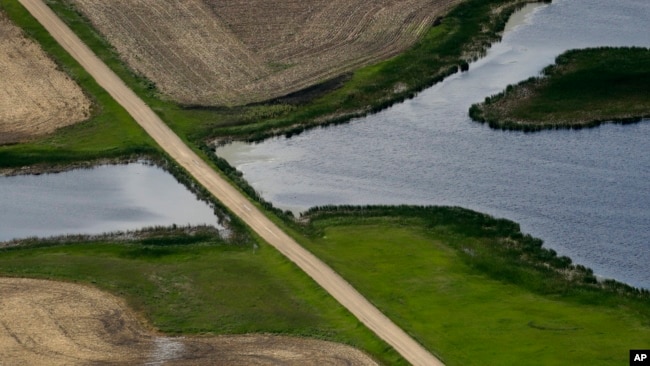 FILE - A road bisects a wetland on June 20, 2019, near Kulm, North Dakota. A Supreme Court decision on May 25, 2023, strips protections from wetlands that are isolated from larger bodies of water.